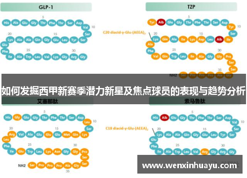 如何发掘西甲新赛季潜力新星及焦点球员的表现与趋势分析