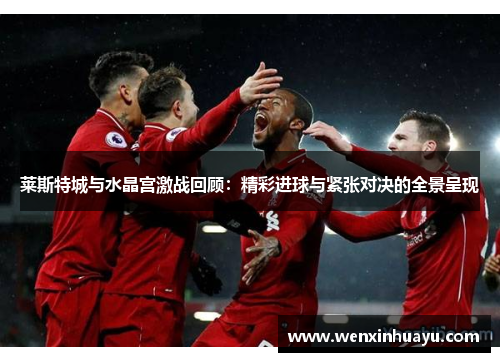 莱斯特城与水晶宫激战回顾:精彩进球与紧张对决的全景呈现